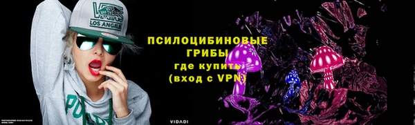 хмурый Аркадак