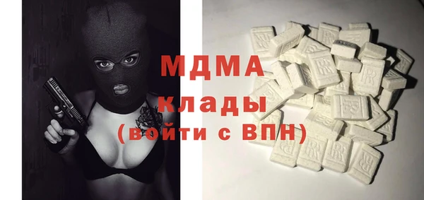 хмурый Аркадак