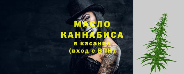 хмурый Аркадак
