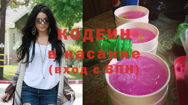 хмурый Аркадак