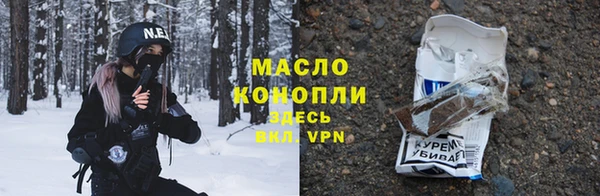 хмурый Аркадак