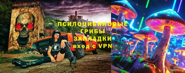 хмурый Аркадак
