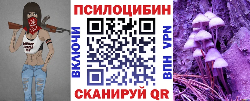 блэк спрут ТОР  Волхов  Псилоцибиновые грибы GOLDEN TEACHER 