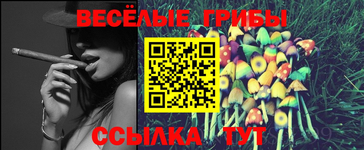 Галлюциногенные грибы GOLDEN TEACHER Волхов