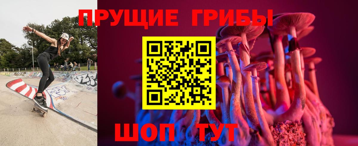 Псилоцибиновые грибы GOLDEN TEACHER  Вход с VPN  Волхов 